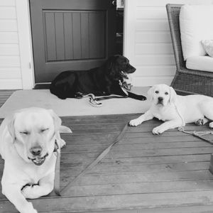 Meet your Posher, Tessa